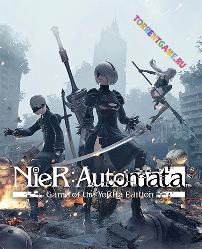 Изображение 4