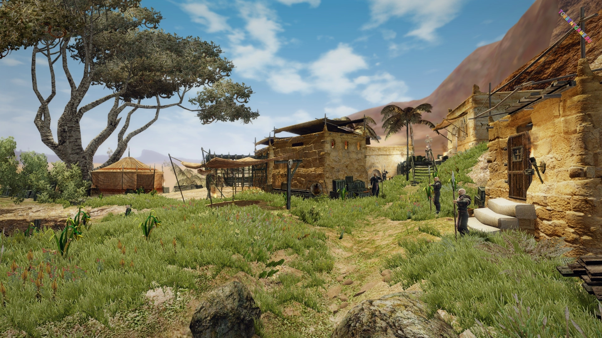 Изображение 3