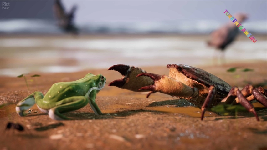 Изображение 5