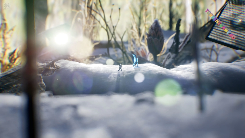 Изображение 2