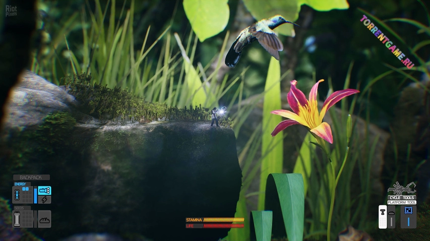 Изображение 3