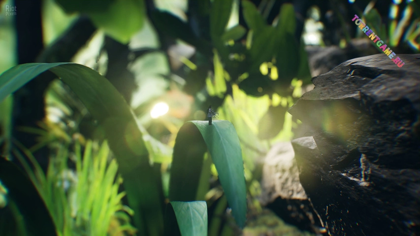 Изображение 4