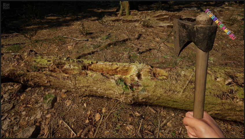 Изображение 4