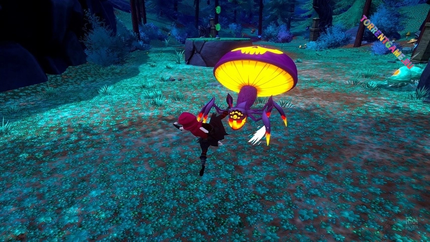 Изображение 3