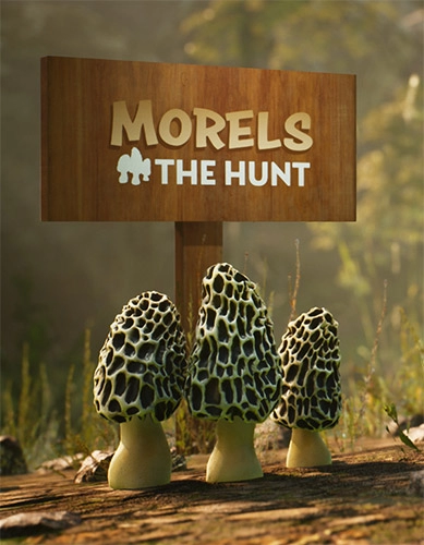  Morels: The Hunt 