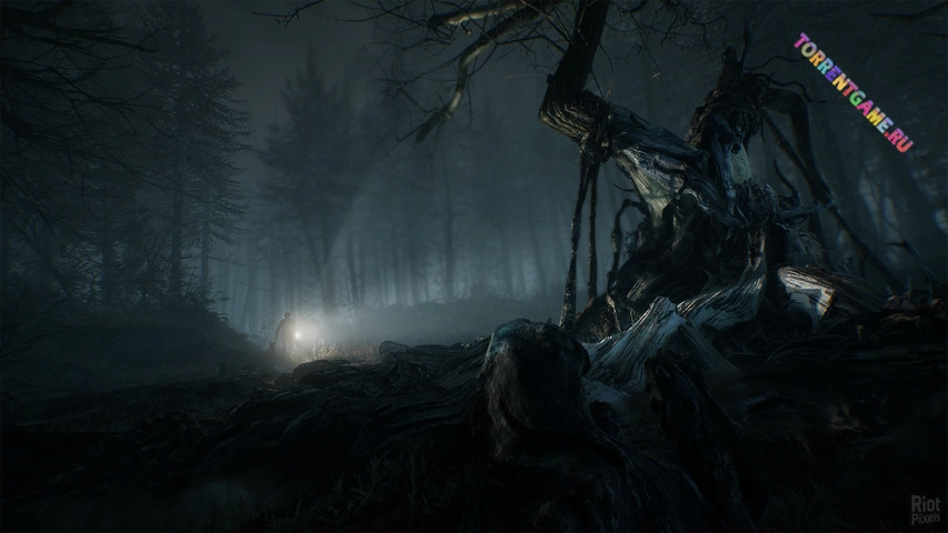 Изображение 4