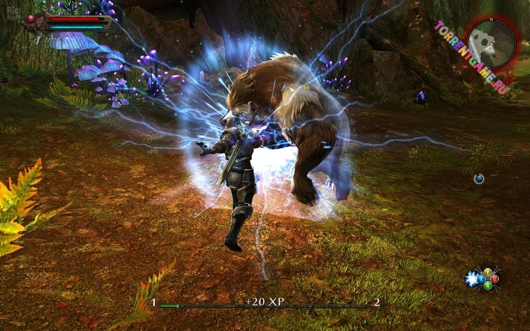 Изображение 2