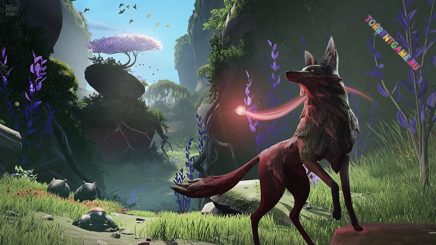 Изображение 4