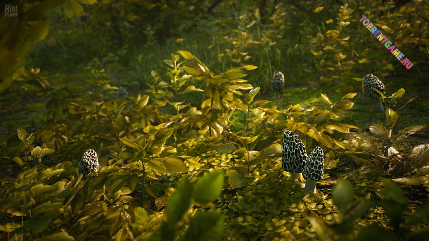 Изображение 4