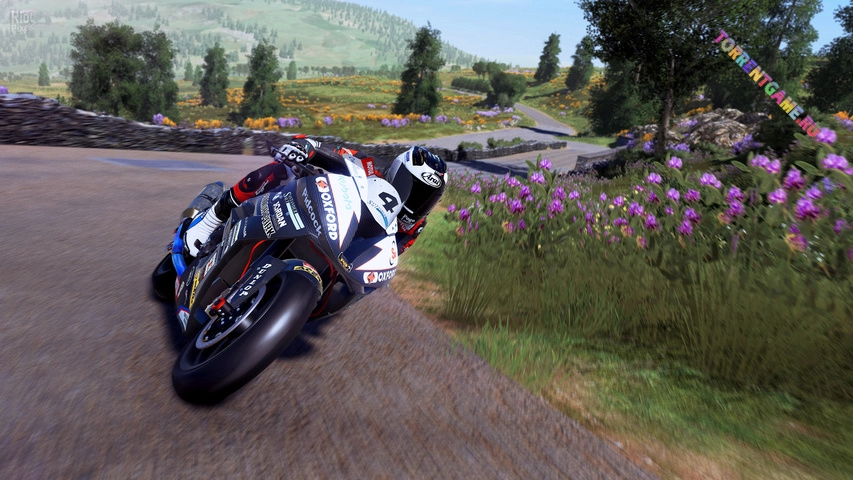 Изображение 4