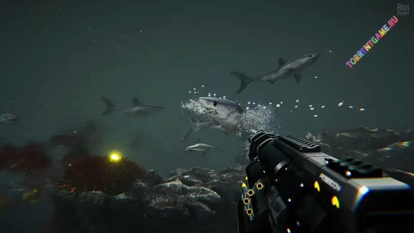 Изображение 2