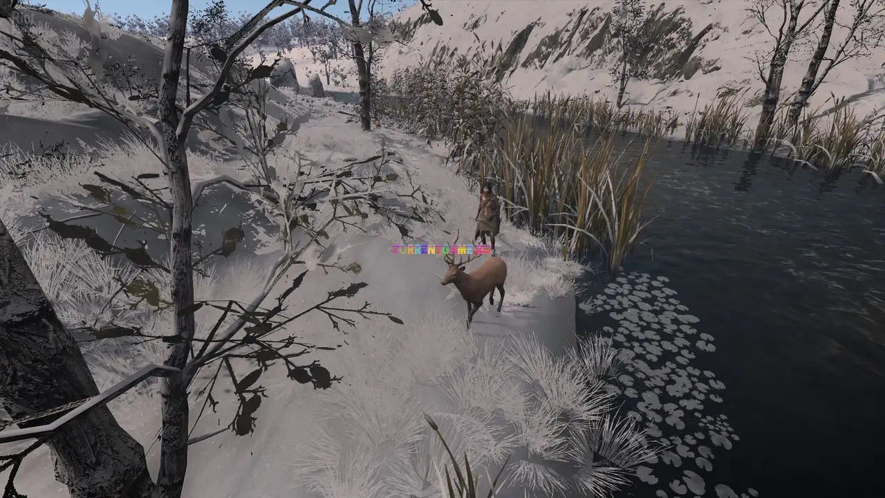 Изображение 7