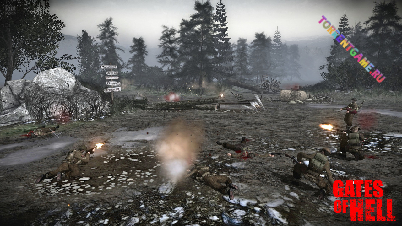 Изображение 8