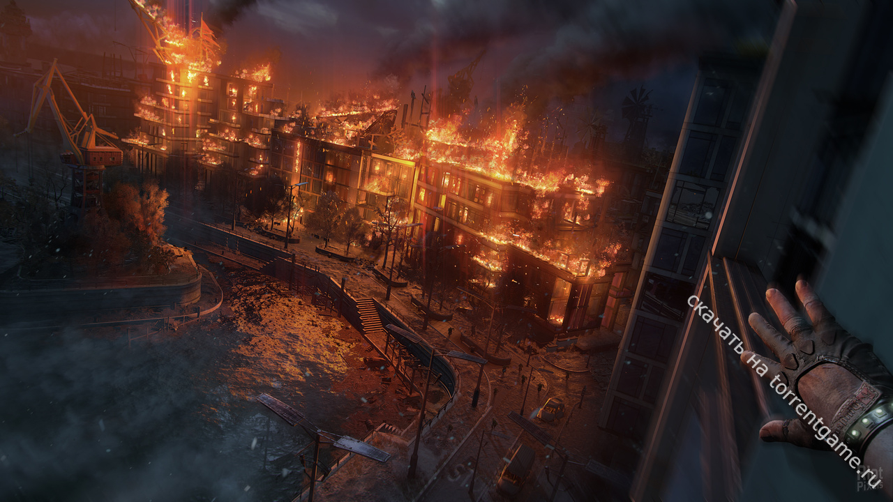 Изображение 5