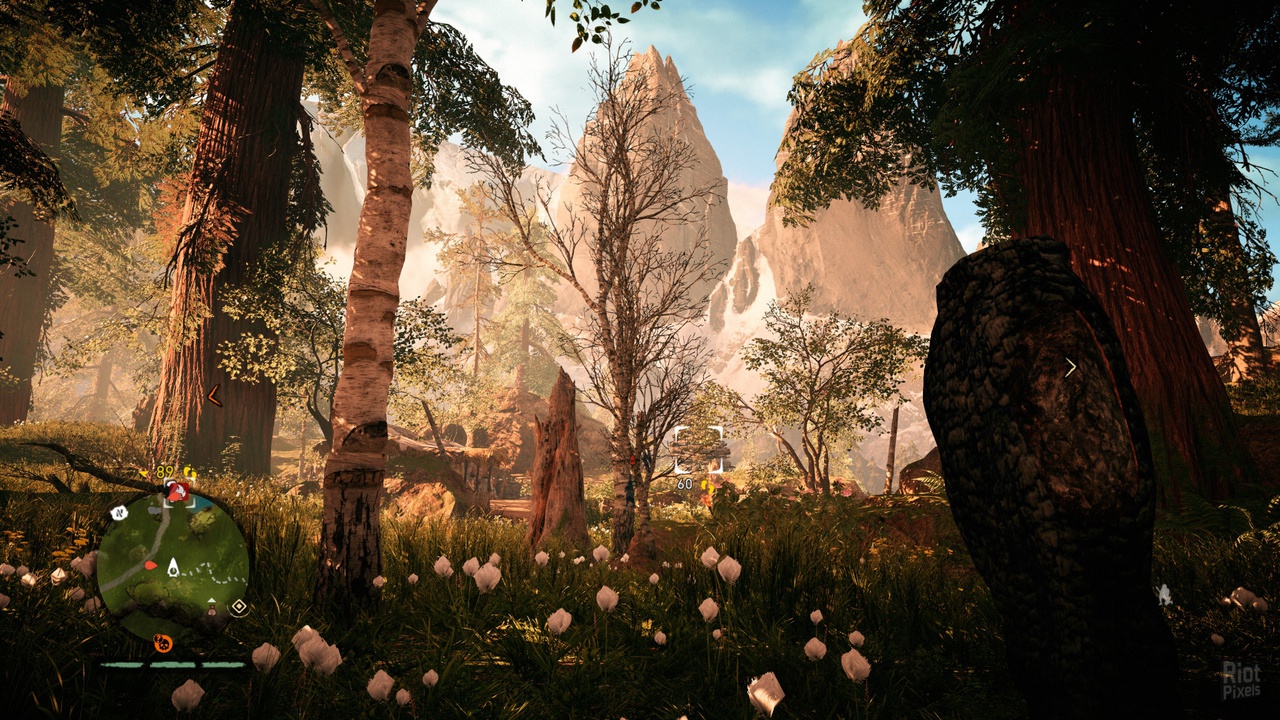 Изображение 2