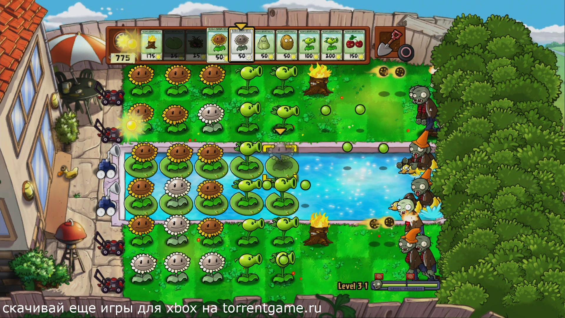 Изображение 5