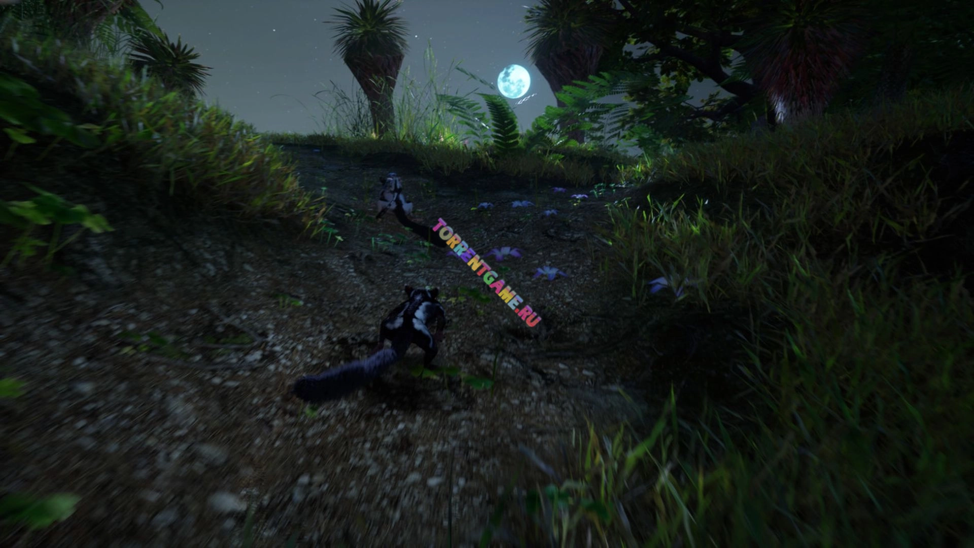 Изображение 4