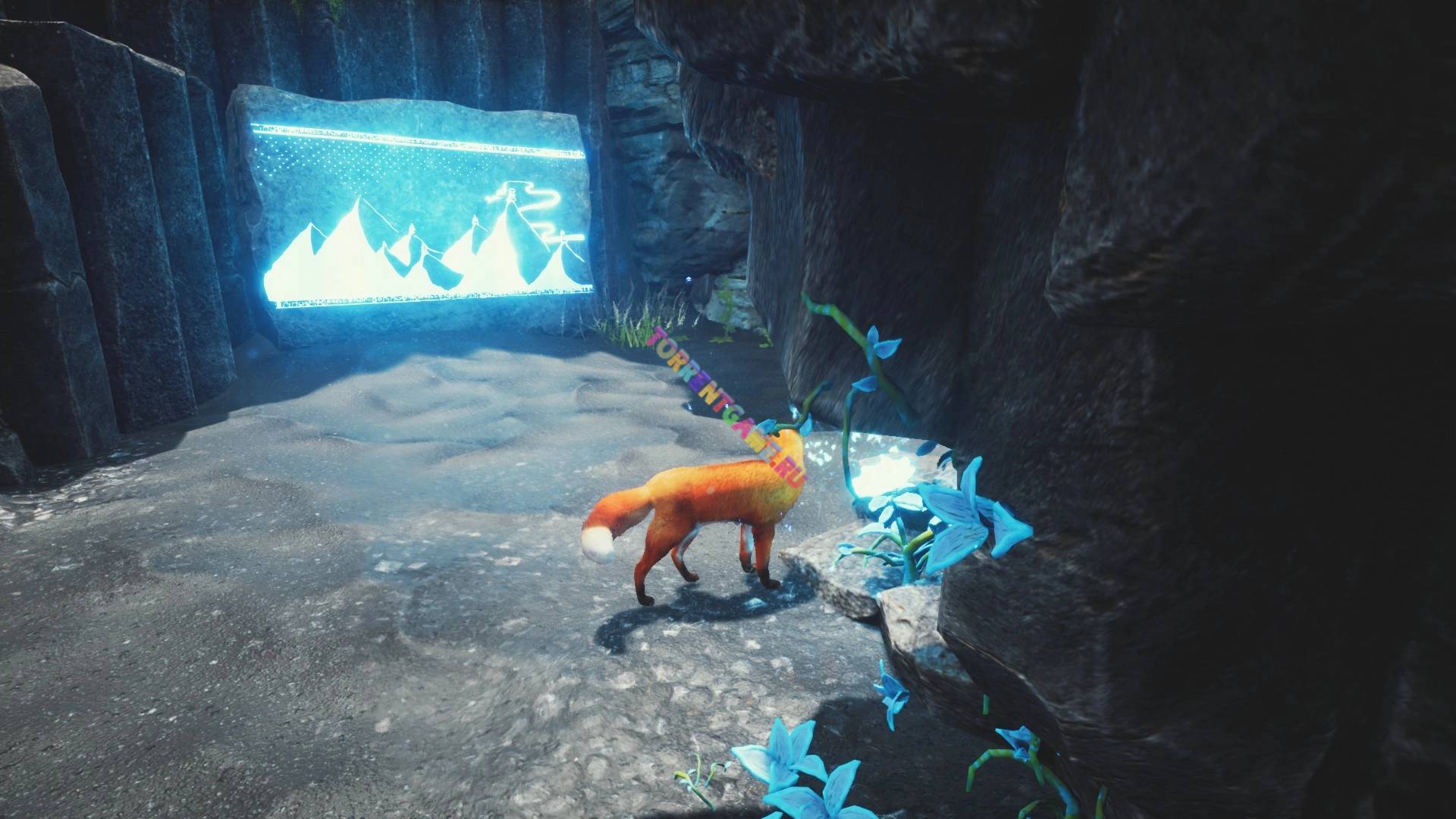 Изображение 5