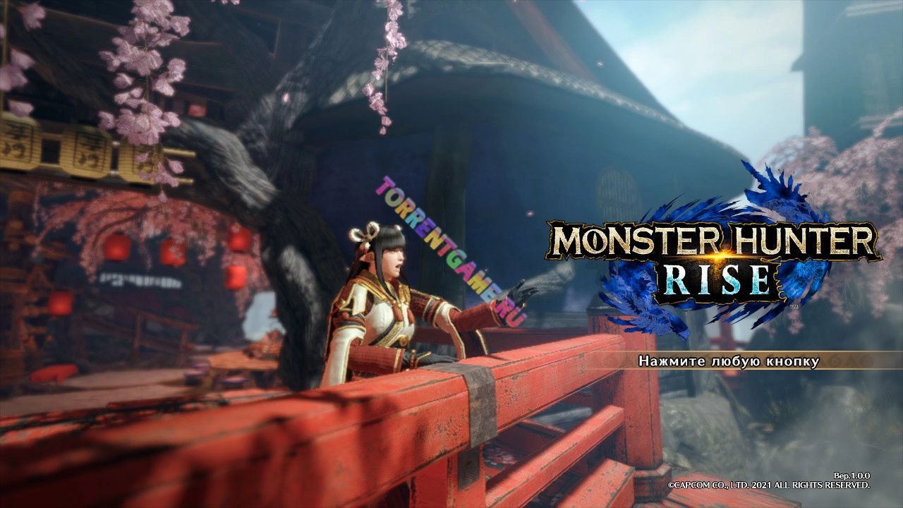 Изображение 8