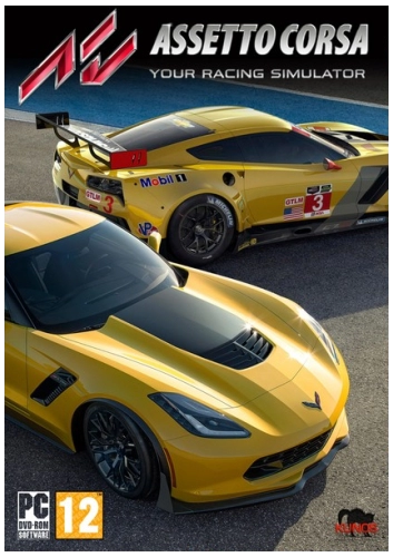  Assetto Corsa v1.14.1 + 10 дополнений 
