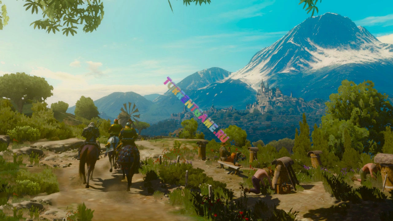 Изображение 3