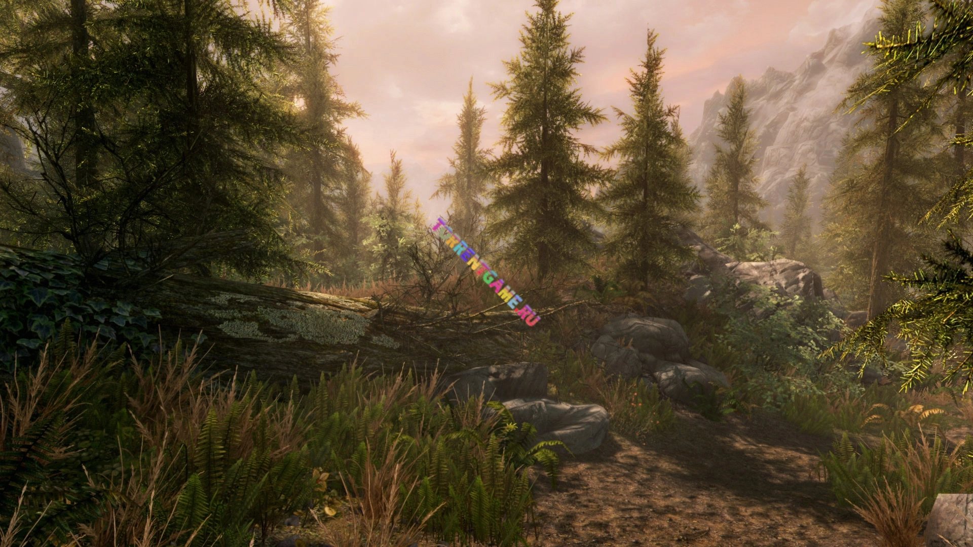 Изображение 7