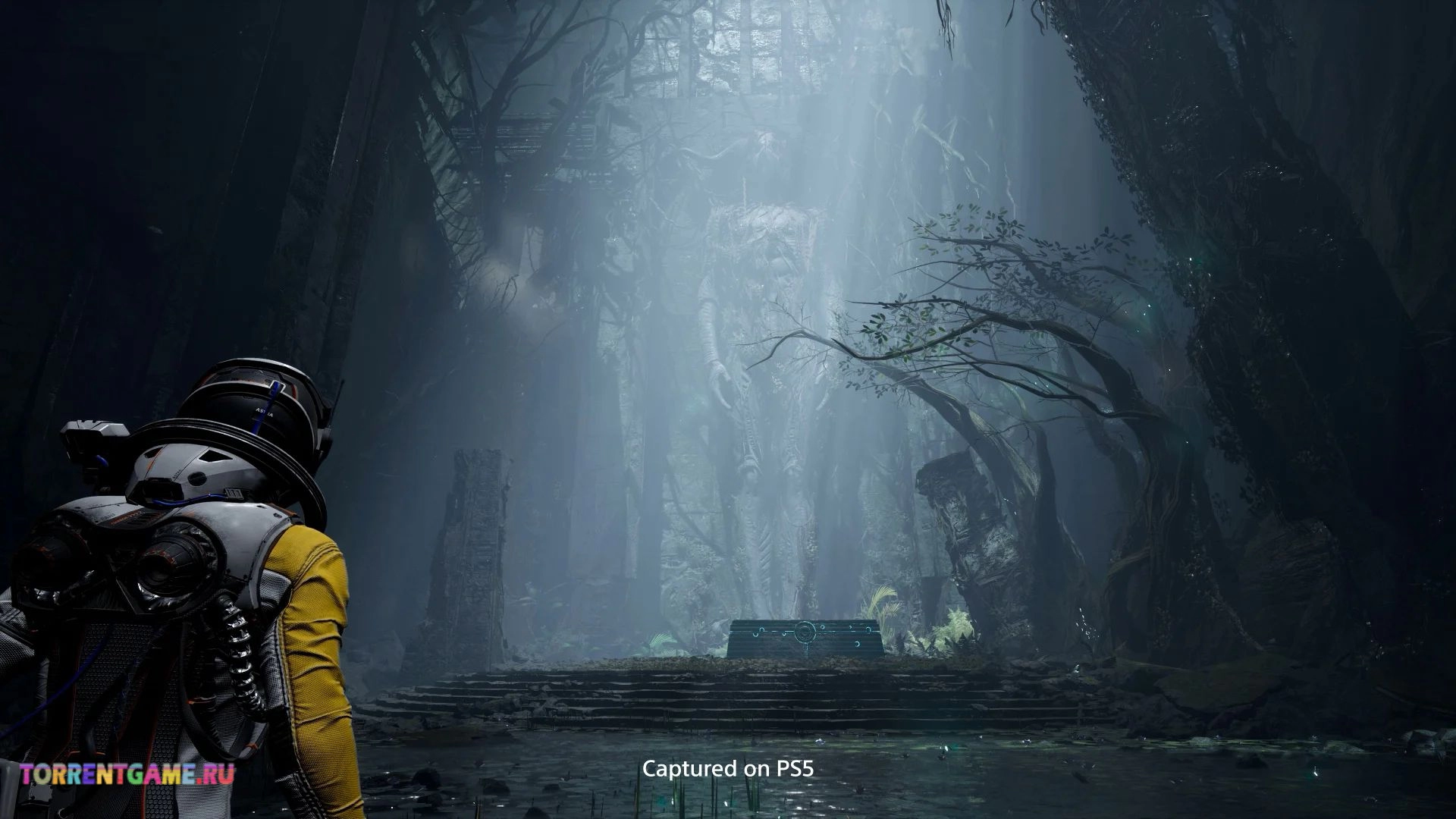 Изображение 4