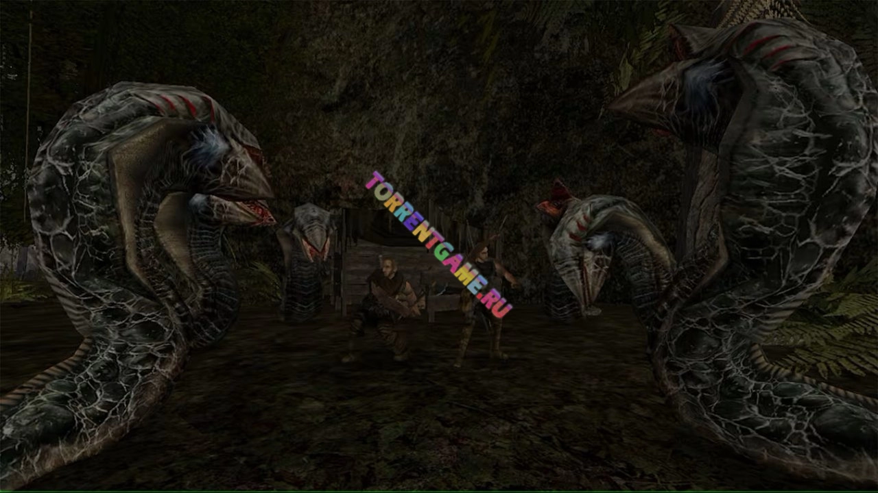 Изображение 4