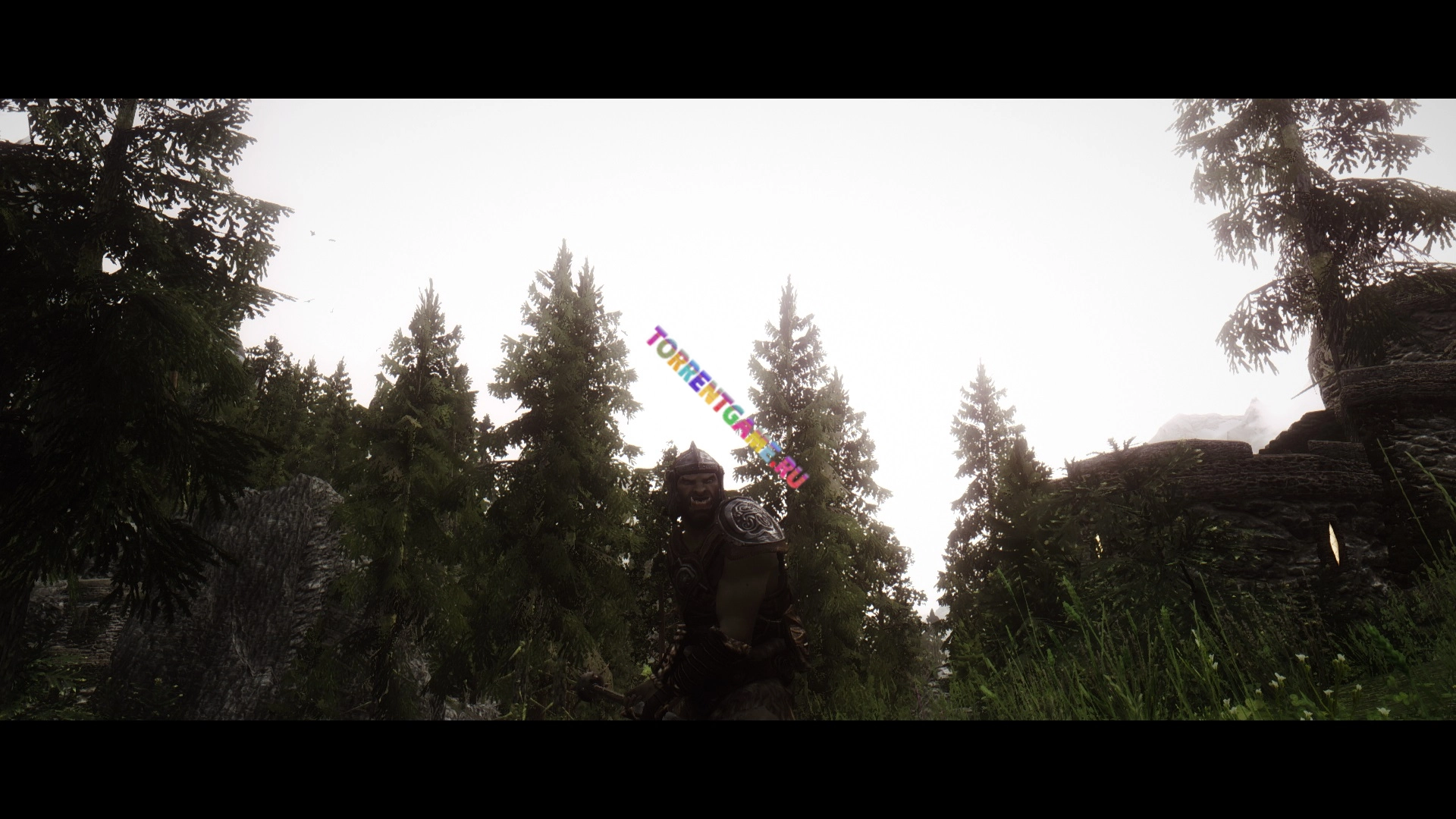 Изображение 8