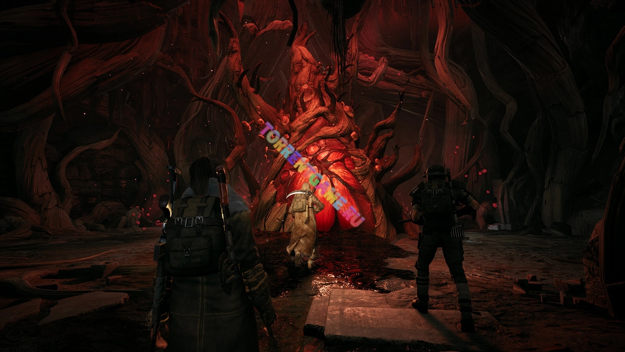 Изображение 6