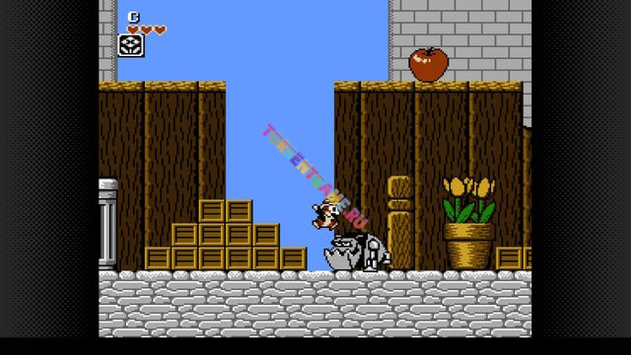 Изображение 5