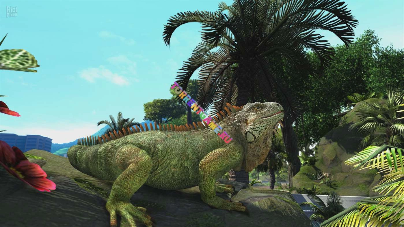 Изображение 3