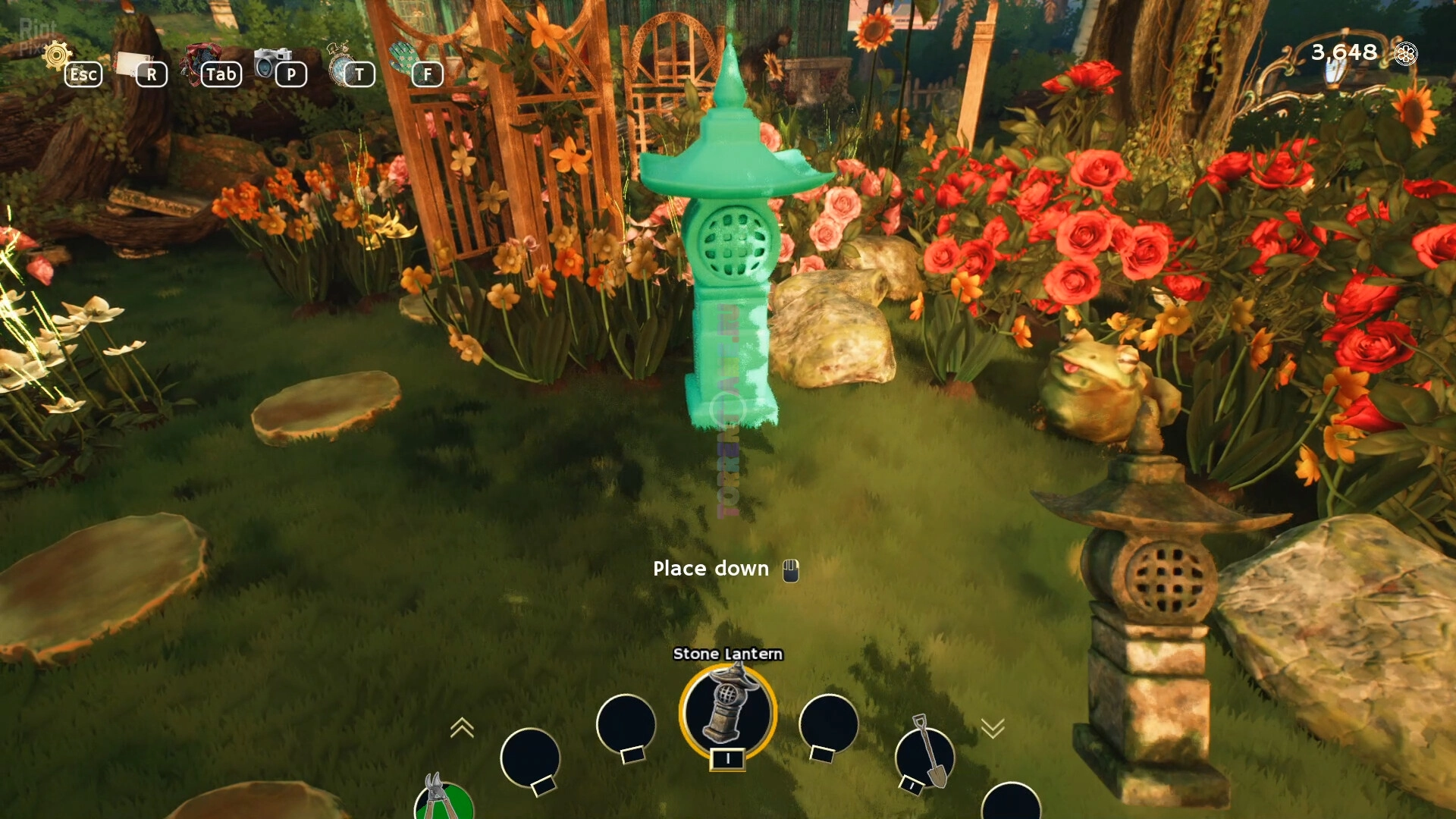 Изображение 5