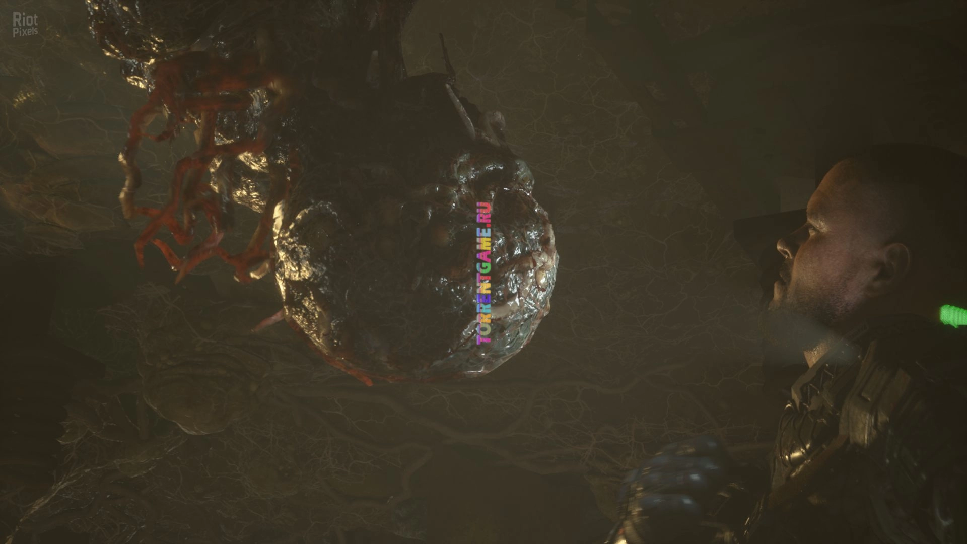 Изображение 6