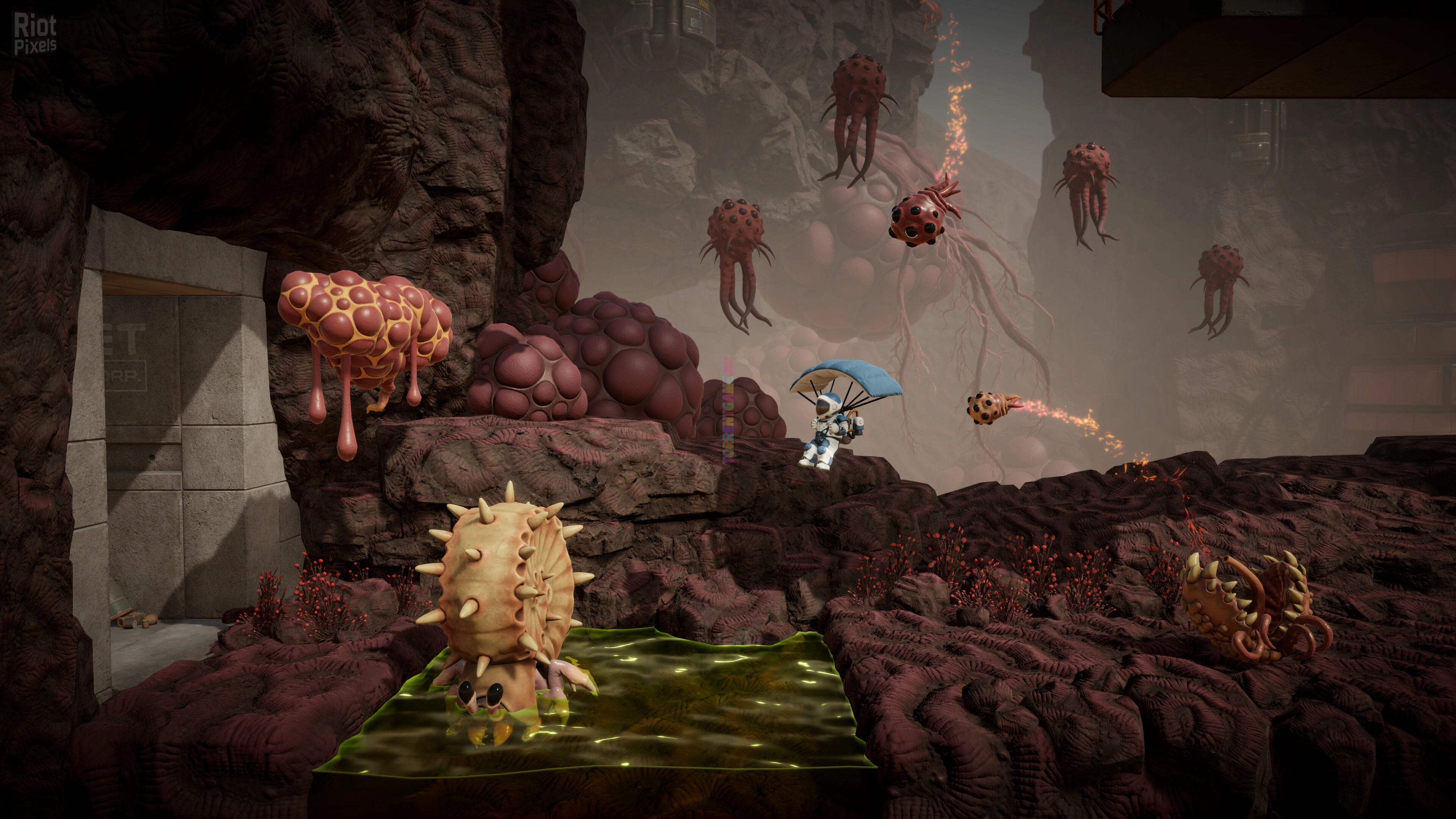 Изображение 3